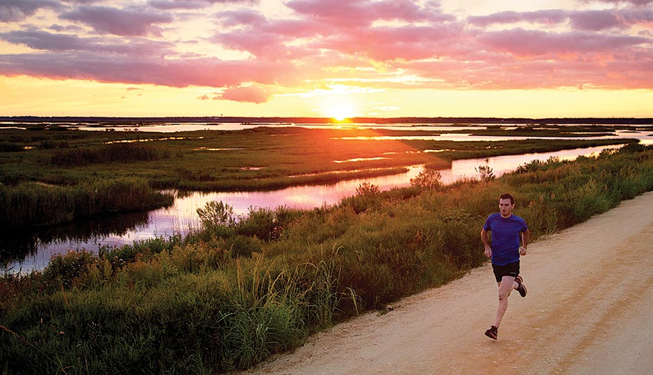 The Edwin B. Forsythe National Wildlife Refuge. Photograph by Steve Boyle