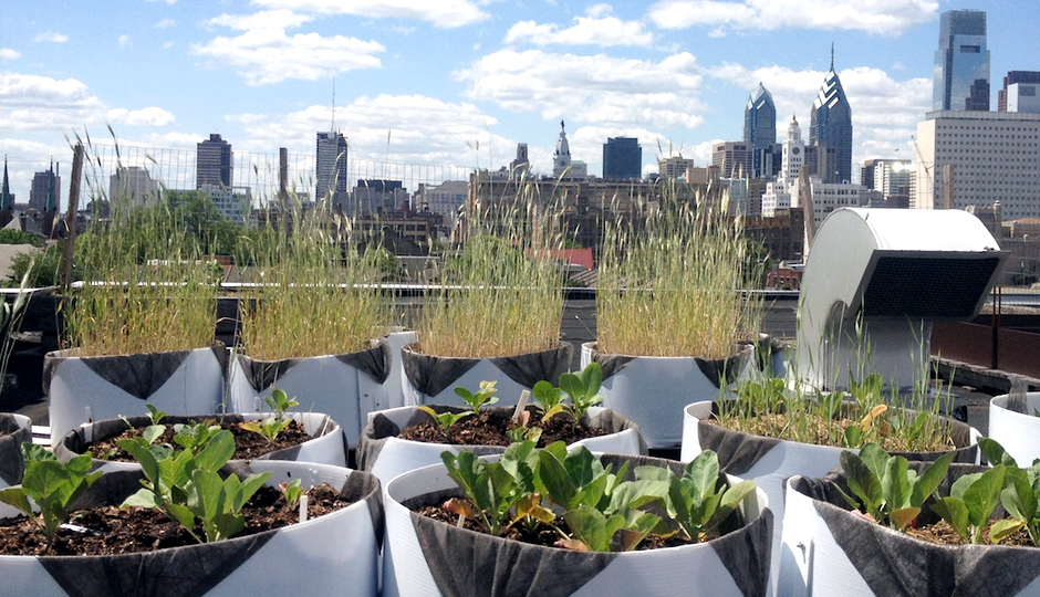 Cloud 9 Rooftop Farm