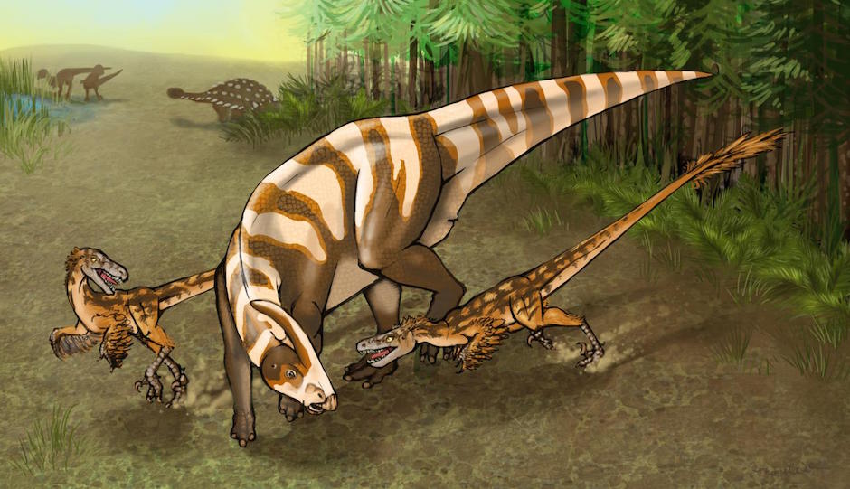 Two Saurornitholestes sullivani raptors attacks a subadult hadrosaur Parasaurolophus tubicen. | Illustration by Mary P. Williams.