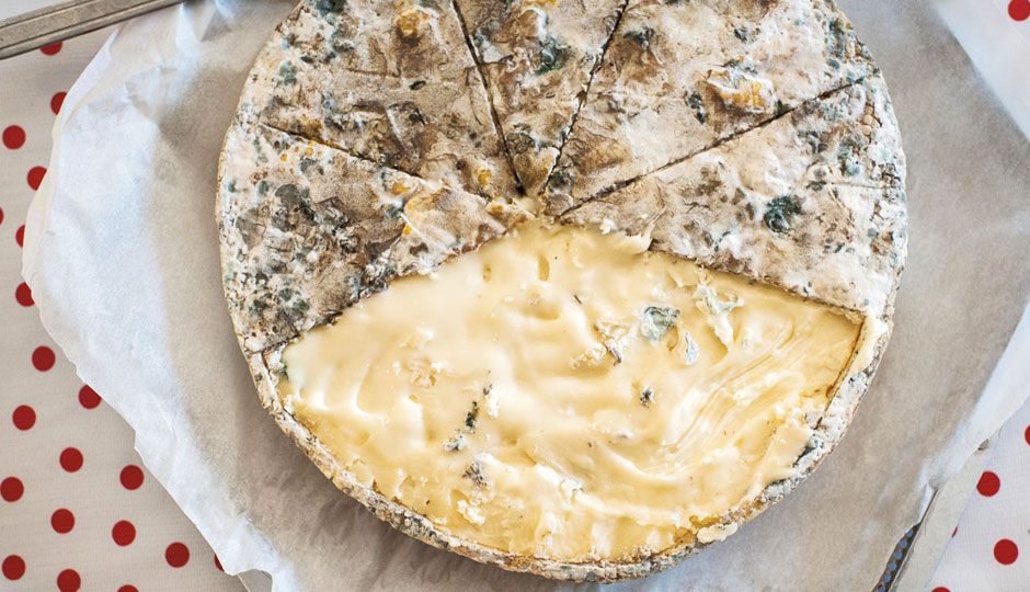 Bobolink-cheese-credit-James-Collier-940