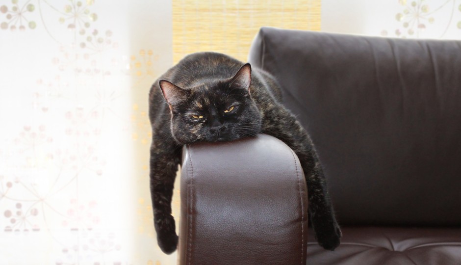 shutterstock_211513189