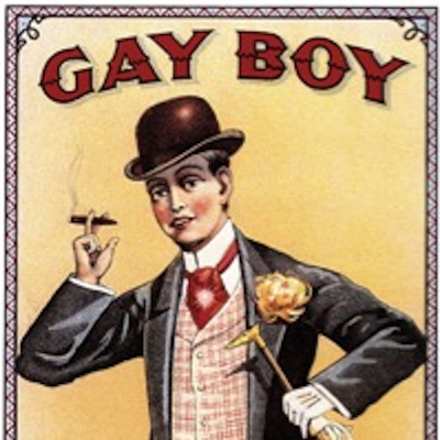 Yes, but what KIND of gay boy?