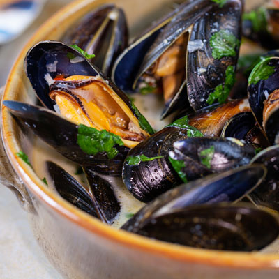 Credit: Shutterstock.com