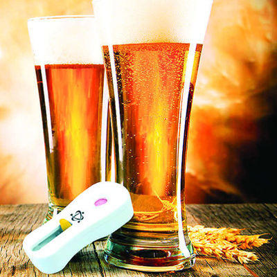 Invisible Sentinel's brewPAL