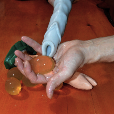 An Ovipositor.