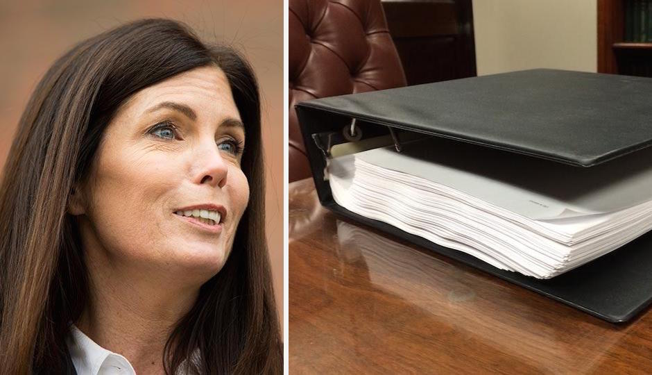 Kathleen Kane, left. Binder full of porn, right.