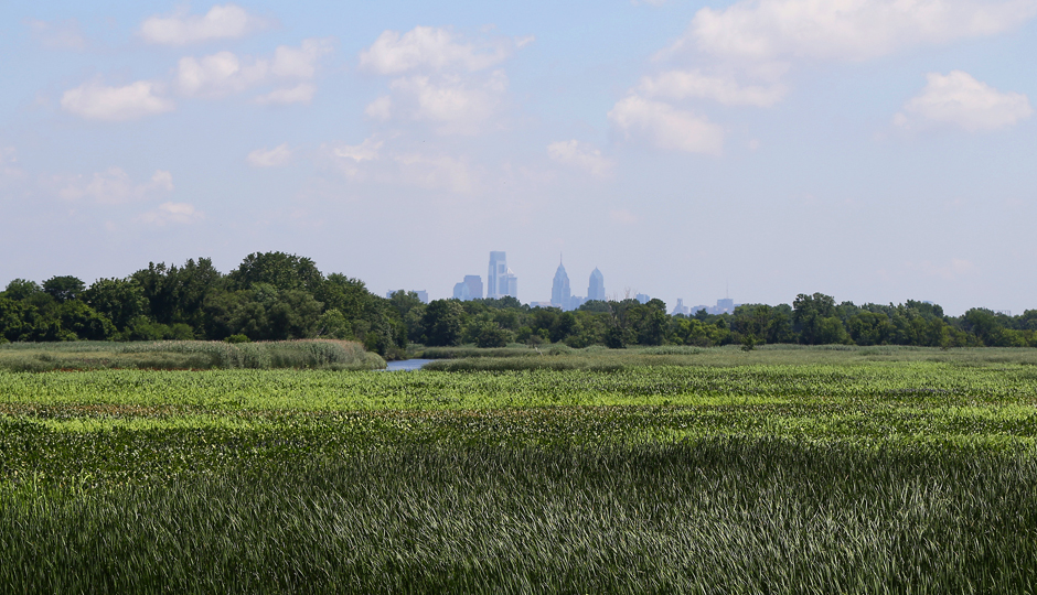 John Heinz National Wildlife Refuge | Photo via Flickr