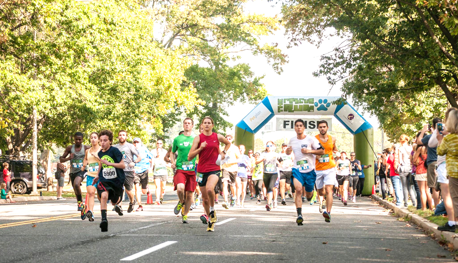 The Rescue Run 5K | Photo via Facebook