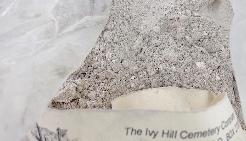 Photograph by Liz Spikol