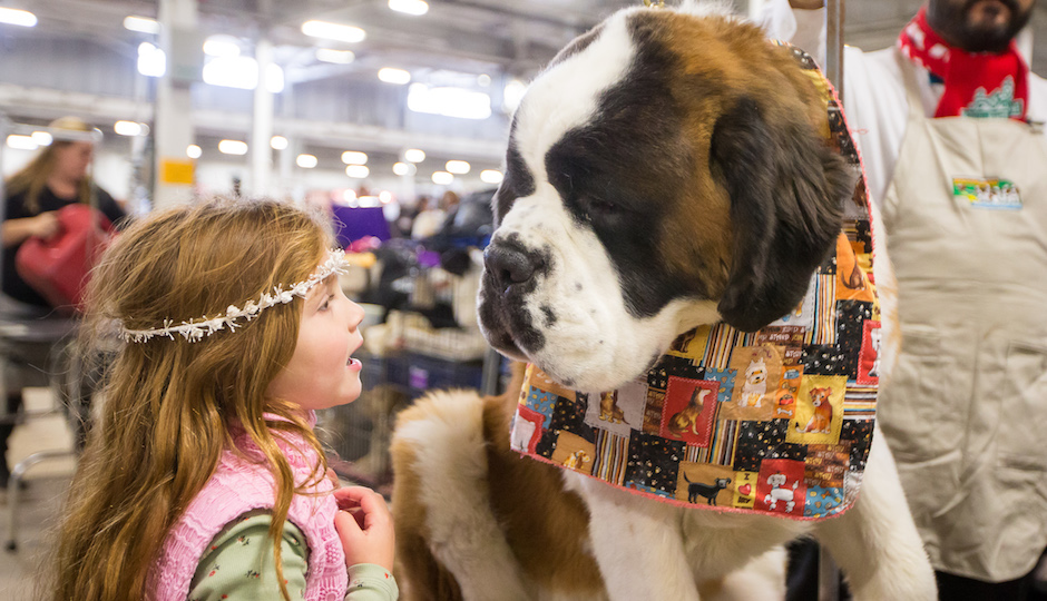 Courtesy of National Dog Show