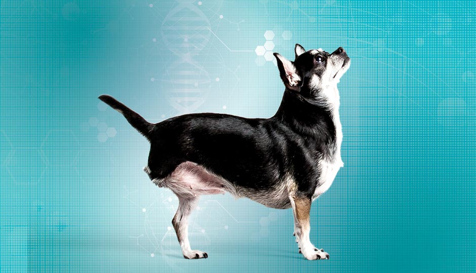 Birdie. Photograph by Claudia Gavin