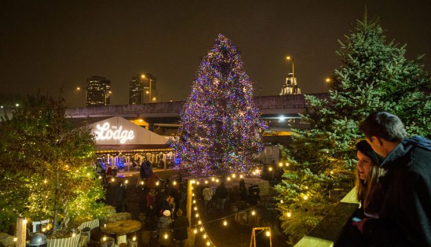 Blue Cross RiverRink Winterfest. Photo by Matt Stanley