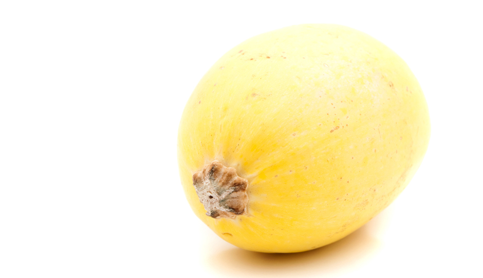 ARENA Creative/Shutterstock.com