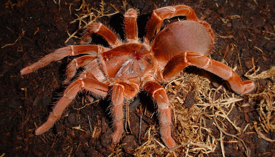 Courtesy of Outhouse Exhibit Services