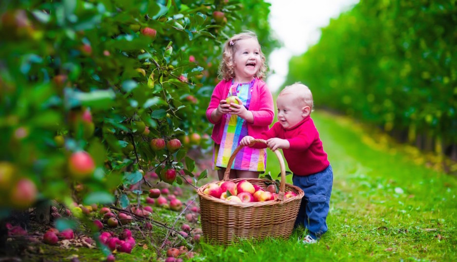 FamVeld / Shutterstock.com