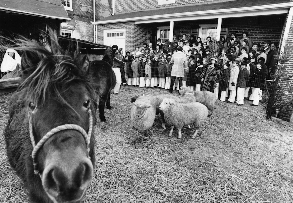 Photo by Richard Rosenberg, Special Collections Research Center, Temple University Libraries, Philadelphia, PA.