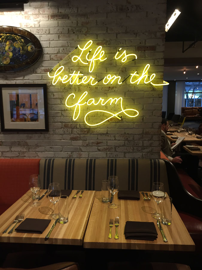 Neon on the wall.