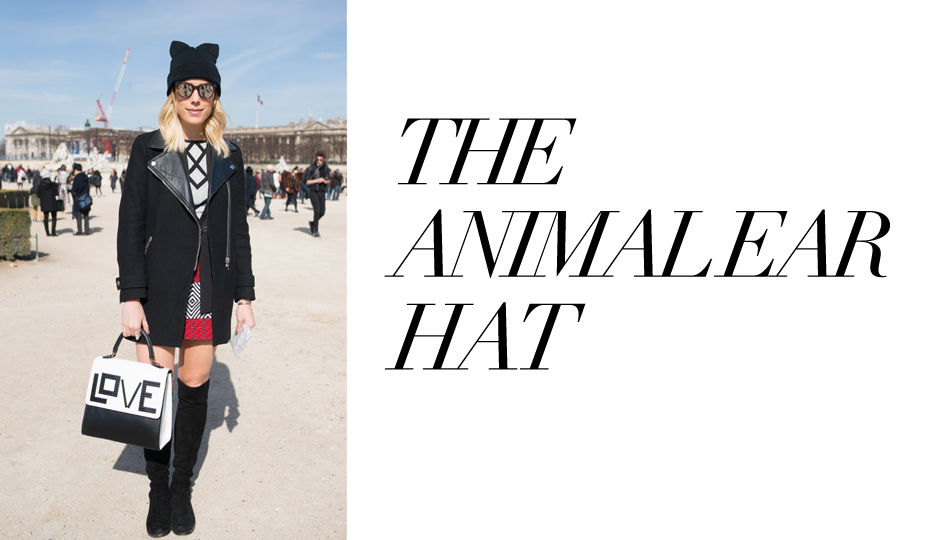 ANIMAL EARS