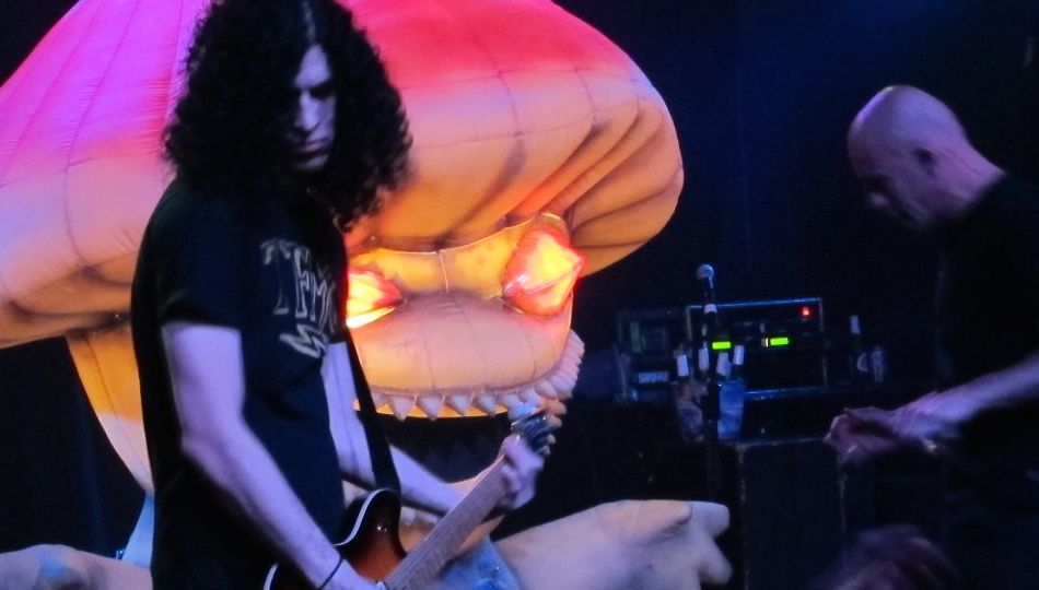 Infected Mushroom