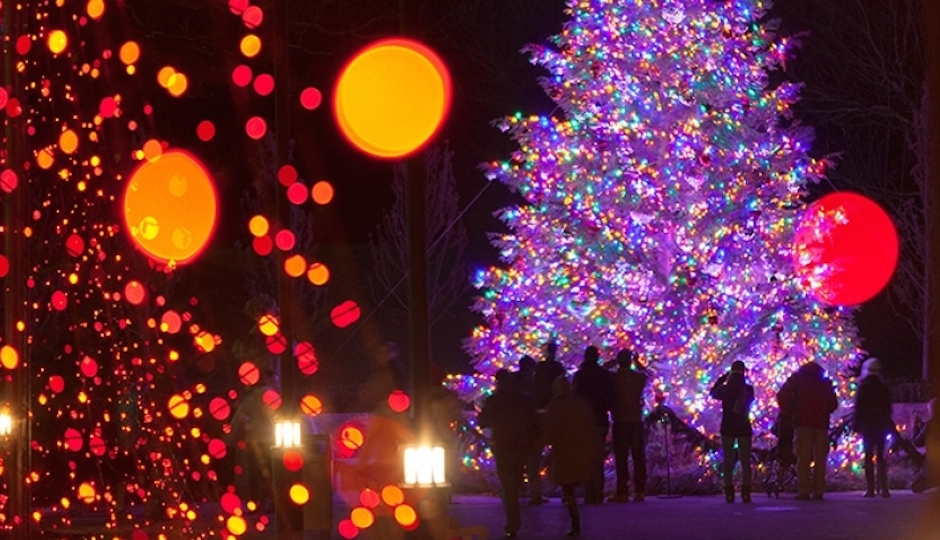 Longwood Christmas