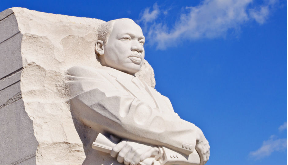 crop_InSapphoWeTrust