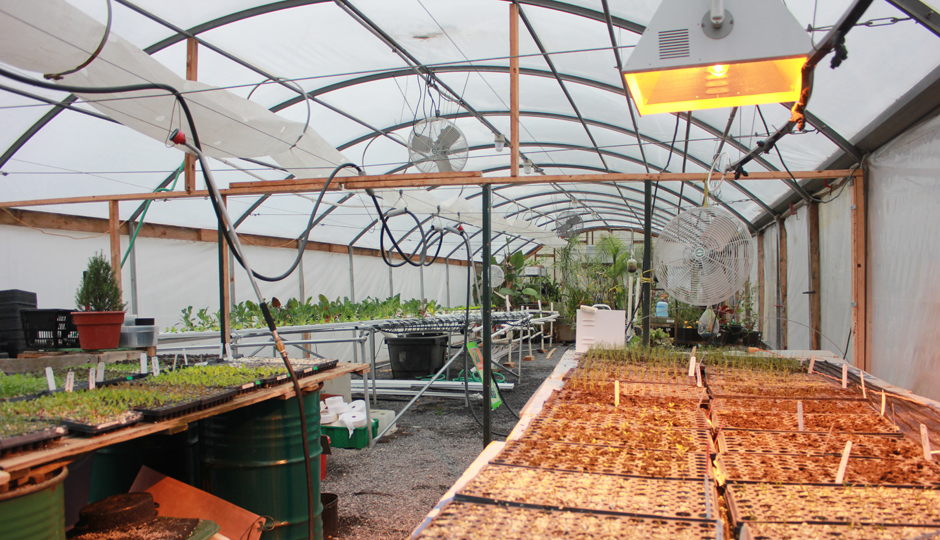 The Greensgrow greenhouse | Photo by Lauren McGrath