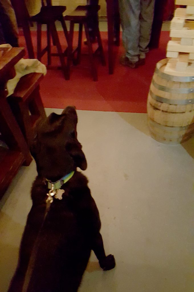 Wyoming eying the Jenga tower.