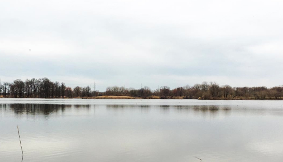 John Heinz Wildlife Refuge | Photo via @bewellphilly 