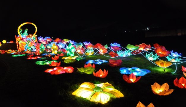 Photo by Sichuan Tianyu