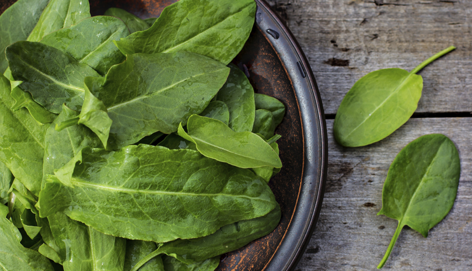 JuliaLototskaya/iStock.com