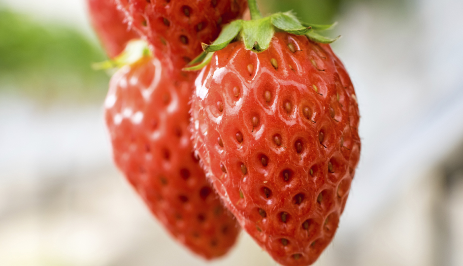 F3al2/iStock.com