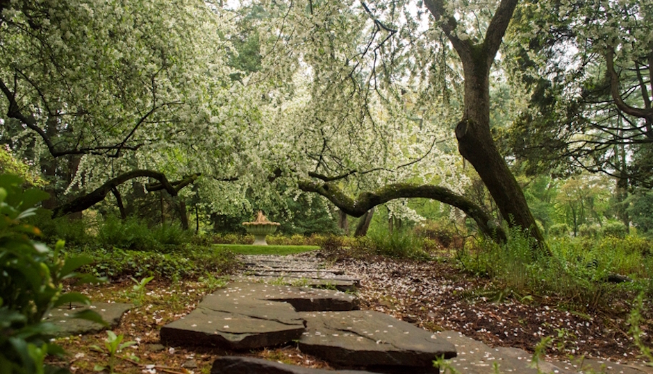 One of the pathways at Stoneleigh, the former John and Clara Haas estate in Villanova. Photos | Natural Lands Trust