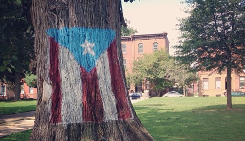 "The Puerto Rican Tree," as residents and Parks & Rec workers refer to it, in Norris Square Park. Photo | David Cruz via Instagram.