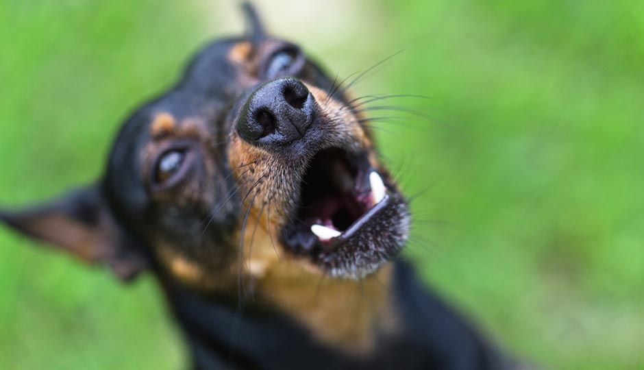 iStockphoto.com | SVPhilon