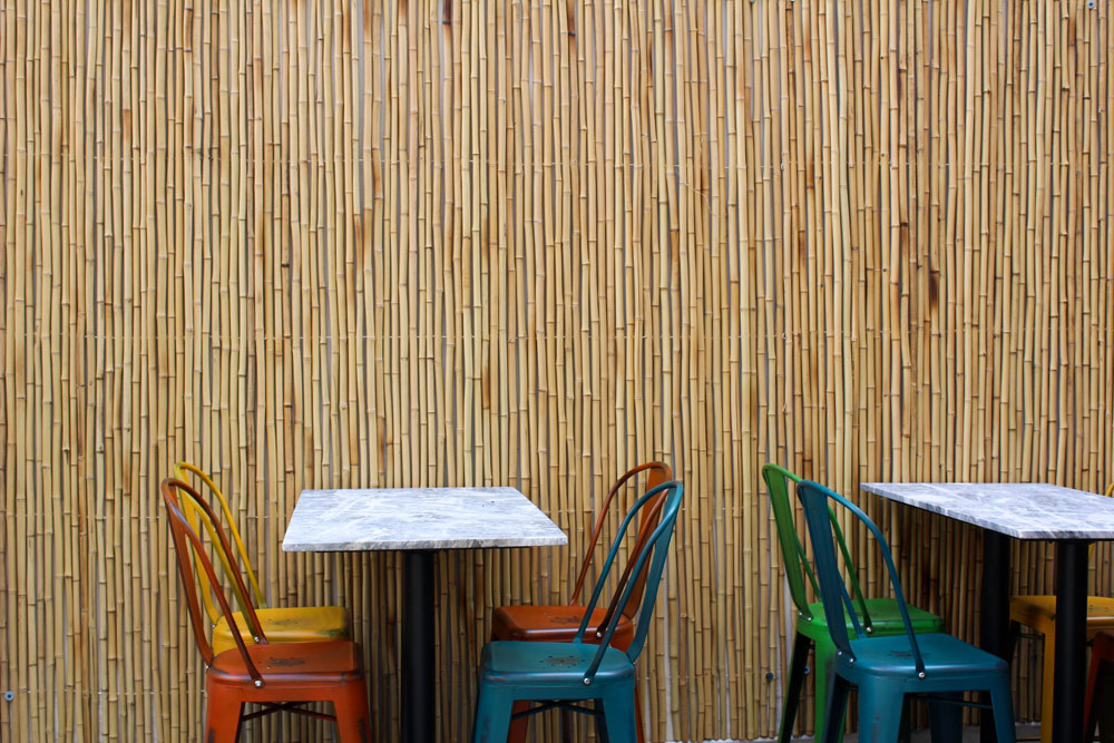 tiki-chelsea-portner-IMG_1430