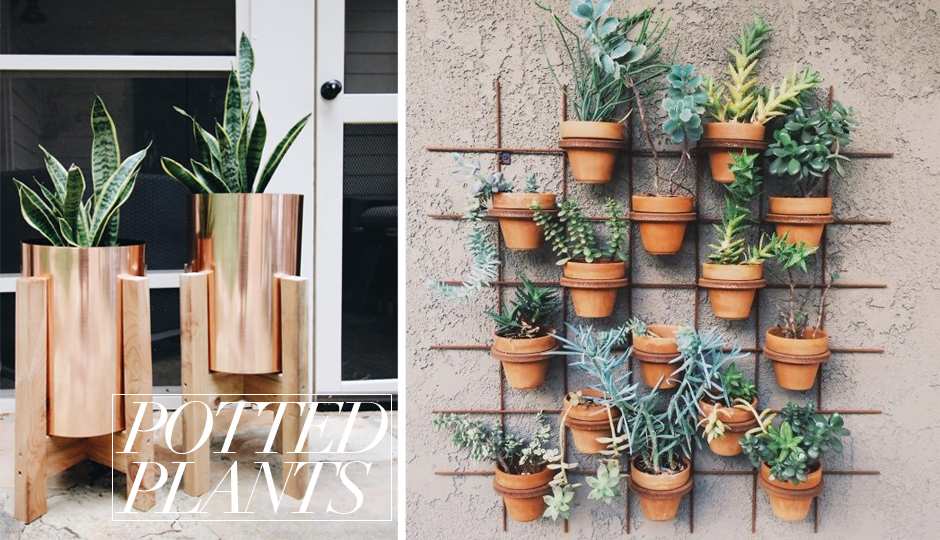 STEP UP YOUR PATIO GAME POTTED PLANTS