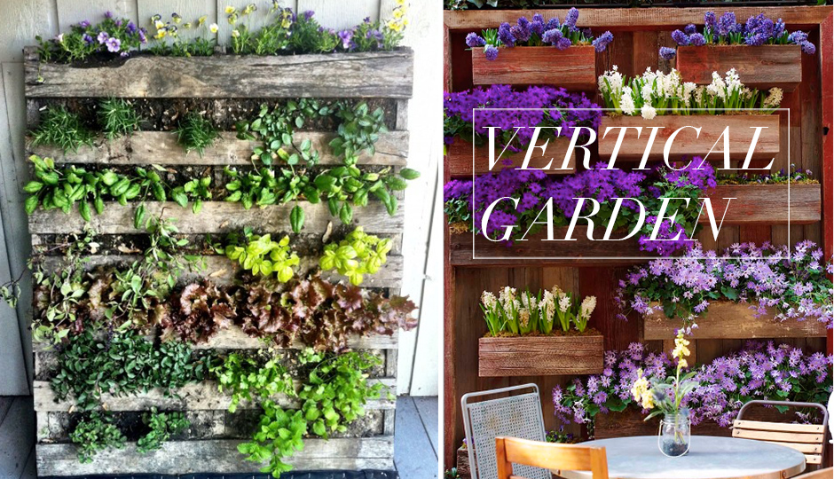 STEP UP YOUR PATIO VERTICAL GARDEN