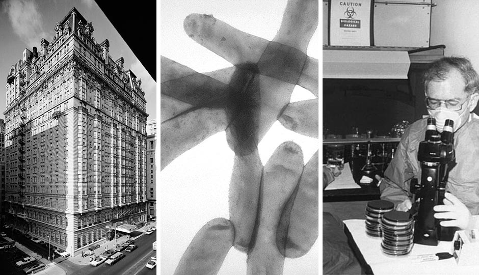 From left, The Bellevue-Stratford; pneumophila, responsible for over 90% of Legionnaires' disease cases; Jim Feeley, examining culture plates upon which the first environmental isolates of Legionella pneumophils had been grown. All public domain.