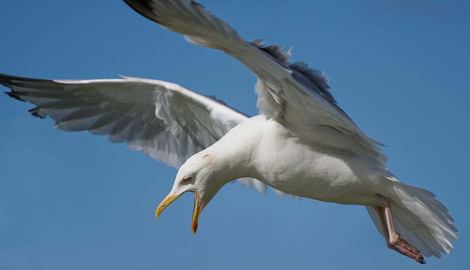 iStockphoto.com | photojaffa