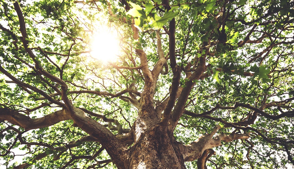 efetova/iStock.com