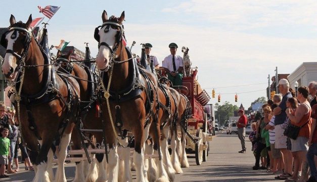 The Budweiser Clydesdales are visiting Philly. Photo from Facebook