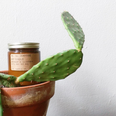 Campfire candle from Fireside Camp Supply | Photo via Instagram