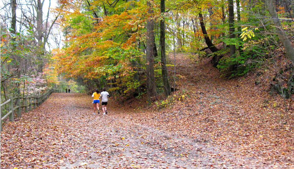 wissahickon