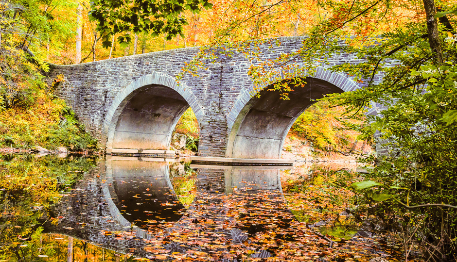  SHSPhotography/iStock.com