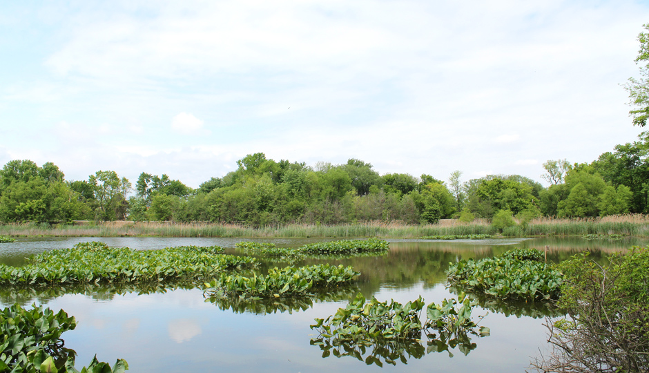 John Heinz Wildlife Regie at Tinicum | Photo by Flickr user Tom Ipri