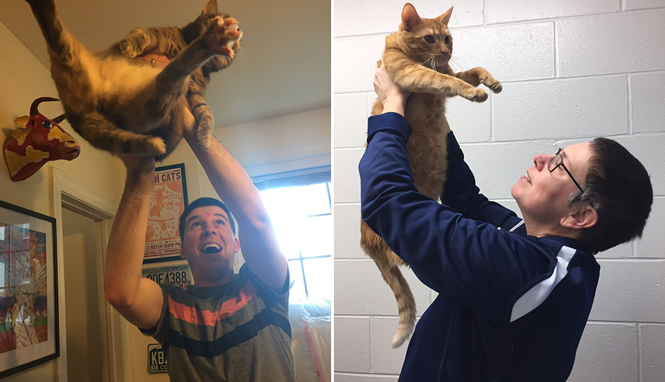 Raise the Cat — sixers photos