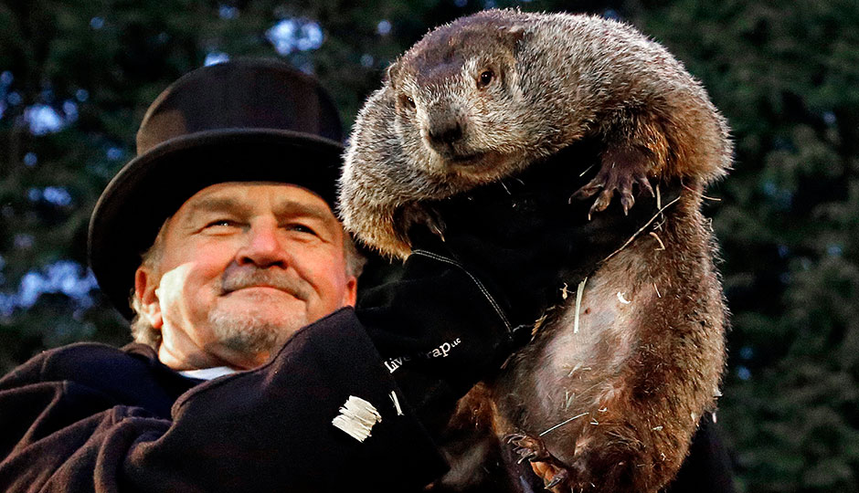 Punxsutawney Phil - Gobbler's Knob