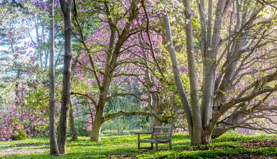 The Barnes Arboretum garden