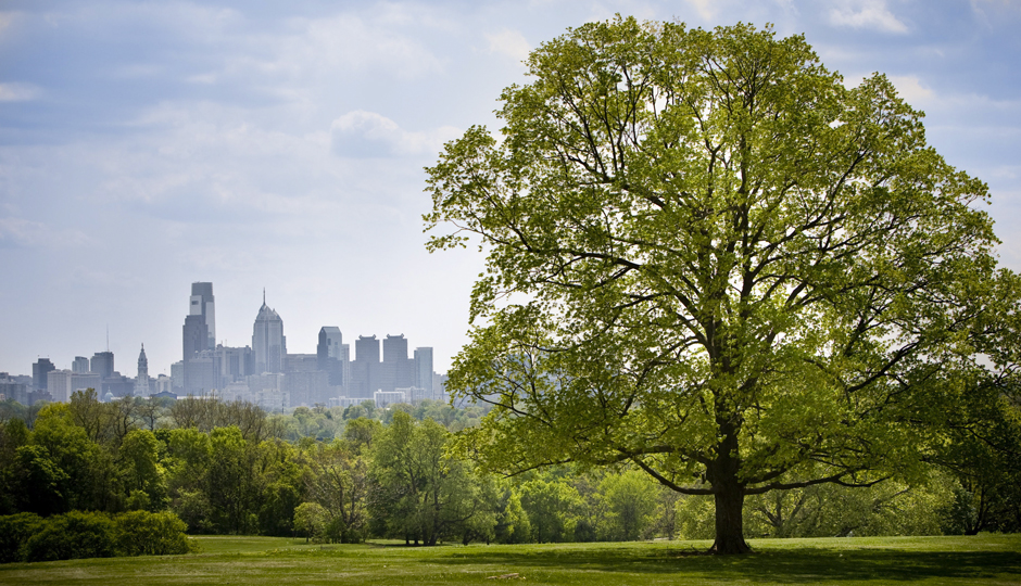 excessive heat warning