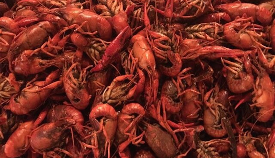 A big pile of crawfish at Chris' Jazz Cafe.